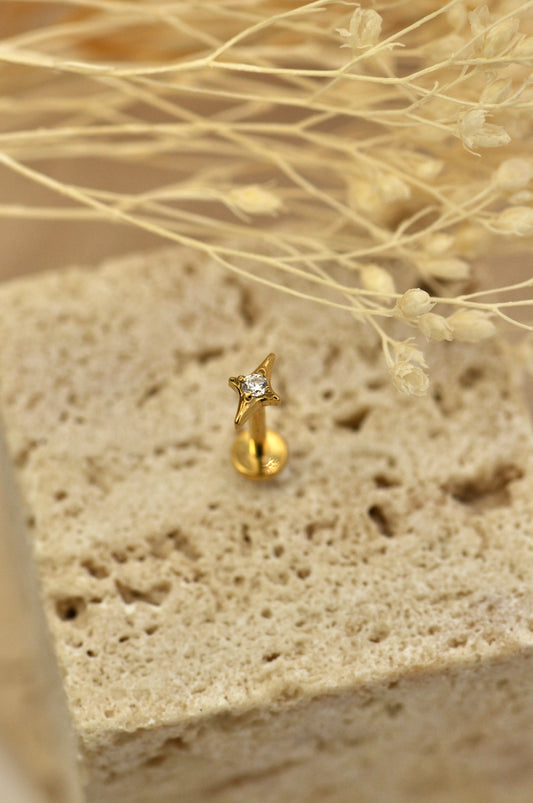 PIERCING D'OREILLE MODÈLE 7